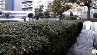 劳伦斯窗户前激情后入(进群约炮)